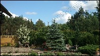 image0017.jpg