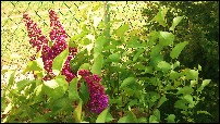 image0022.jpg