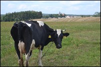 image0039.jpg